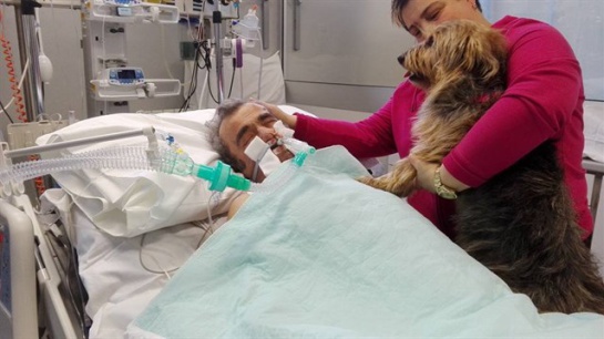 Hombre cae en coma, su mascota lo visita y reacciona Hombre cae en coma, su mascota lo visita y reacciona