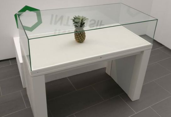 Dejan una piña en medio de una exposición y la gente cree que es arte Dejan una piña en medio de una exposición y la gente cree que es arte