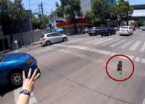 Un perrito protagoniza persecución sobre Avenida Revolución