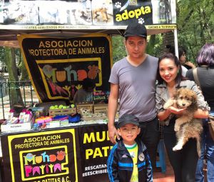 Abandonan a un perrito en la delegación Gustavo A. Madero Abandonan a un perrito en la delegación Gustavo A. Madero