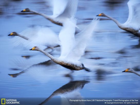 Mexicano se lleva el primer lugar en concurso de fotografía de National Geographic Mexicano se lleva el primer lugar en concurso de fotografía de National Geographic