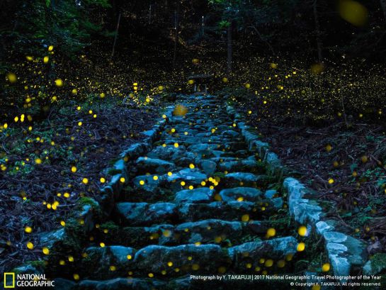 Mexicano se lleva el primer lugar en concurso de fotografía de National Geographic Mexicano se lleva el primer lugar en concurso de fotografía de National Geographic