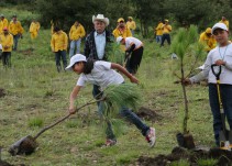 Conafor 'tala' presupuesto y prioriza en servicios personales