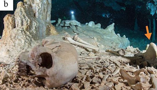 Descubren en México los restos humanos más antiguos de América Descubren en México los restos humanos más antiguos de América