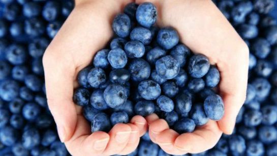 5 super alimentos infaltables para vivir bien 5 super alimentos infaltables para vivir bien