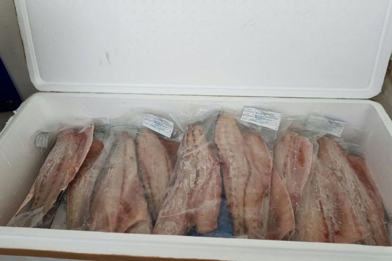 Aseguran cargamento ilegal de totoaba en Tijuana Aseguran cargamento ilegal de totoaba en Tijuana