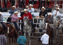 Exgobernador de Nayarit gastó millones en caballos