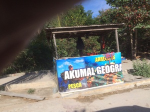 Bahía de Akumal, en poder de guías ambulantes Bahía de Akumal, en poder de guías ambulantes