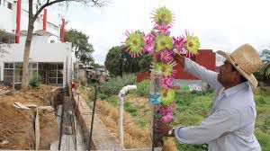¿Por qué celebramos el día del albañil y la Santa Cruz?: ¿Por qué celebramos el día del albañil y la Santa Cruz? ¿Por qué celebramos el día del albañil y la Santa Cruz?: ¿Por qué celebramos el día del albañil y la Santa Cruz?