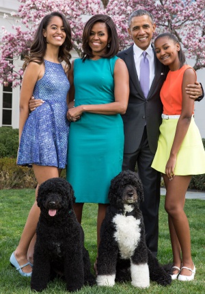 Los Obama crearán contenido para Netflix: Los Obama crearán contenido para Netflix Los Obama crearán contenido para Netflix: Los Obama crearán contenido para Netflix