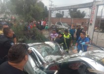 Automovilista muere tras caerle un árbol en Ecatepec