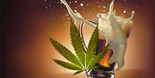Crean la primera cerveza de marihuana Crean la primera cerveza de marihuana