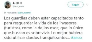 matan a Oso Polar: Matan a Oso Polar por defender su territorio matan a Oso Polar: Matan a Oso Polar por defender su territorio