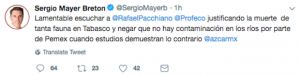 Sergio Mayer acude a la Profeco por muerte de manatíes Sergio Mayer acude a la Profeco por muerte de manatíes