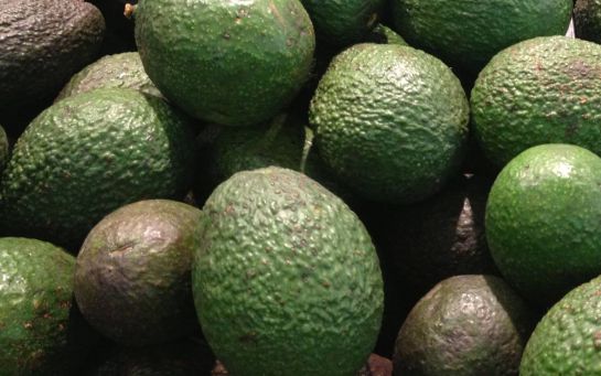 Nutriólogos recomiendan consumir 100 gramos de aguacate al día Nutriólogos recomiendan consumir 100 gramos de aguacate al día
