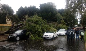 Granizada provoca caos en la CDMX Granizada provoca caos en la CDMX