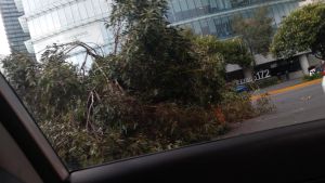 Se reportan fuertes lluvias en la CDMX Se reportan fuertes lluvias en la CDMX