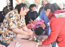 APLICARÁN MÁS DE 433 MIL VACUNAS CONTRA LA RABIA EN EDOMÉX