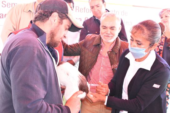APLICARÁN MÁS DE 433 MIL VACUNAS CONTRA LA RABIA EN EDOMÉX APLICARÁN MÁS DE 433 MIL VACUNAS CONTRA LA RABIA EN EDOMÉX
