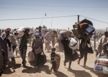 Siete años de conflicto