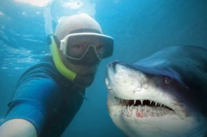Una selfie ¿Vale más que tu vida? Una selfie ¿Vale más que tu vida?