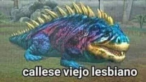 viejo lesbiano viejo lesbiano
