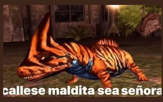 viejo lesbiano viejo lesbiano