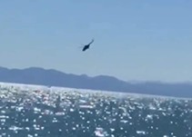 Se desploma helicóptero de la Marina en el Golfo de California