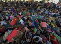 Senado pide protección para migrantes
