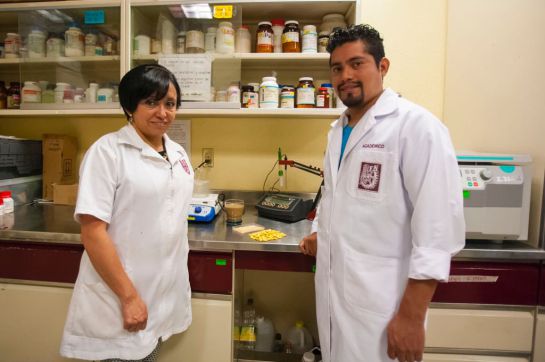 Desarrollan bebida para reducir colesterol, triglicéridos y glucosa Desarrollan bebida para reducir colesterol, triglicéridos y glucosa
