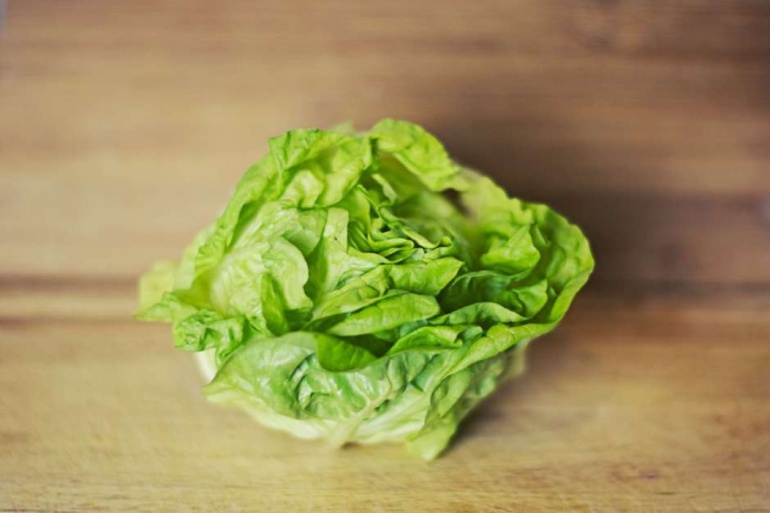 Aconsejan no comer lechuga en Estados Unidos y Canadá