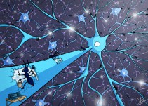 No importa la edad; tu cerebro es capaz de generar nuevas neuronas
