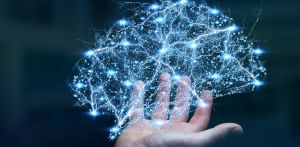 No importa la edad; tu cerebro es capaz de generar nuevas neuronas No importa la edad; tu cerebro es capaz de generar nuevas neuronas