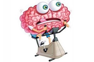 No importa la edad; tu cerebro es capaz de generar nuevas neuronas No importa la edad; tu cerebro es capaz de generar nuevas neuronas