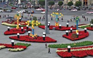 Un paseo para recordar; estrena el Zócalo jardín con nochebuenas Un paseo para recordar; estrena el Zócalo jardín con nochebuenas