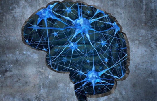 alzheimer wnt alzheimer wnt