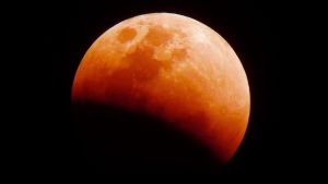 Ya viene el primer eclipse de Luna del 2019 Ya viene el primer eclipse de Luna del 2019