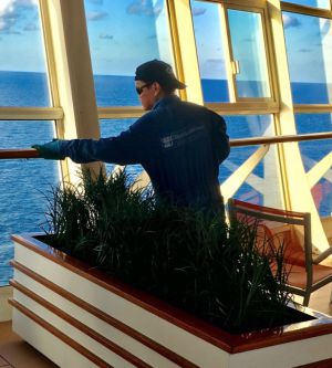 Virus causa emergencia en crucero infectando a más de 270 personas Virus causa emergencia en crucero infectando a más de 270 personas