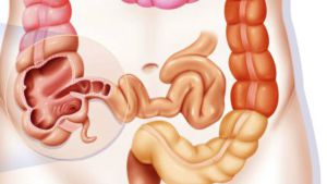 Estas 9 partes del cuerpo podrían ser pisapapeles; ya no las necesitamos Estas 9 partes del cuerpo podrían ser pisapapeles; ya no las necesitamos