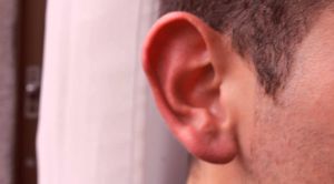 Estas 9 partes del cuerpo podrían ser pisapapeles; ya no las necesitamos Estas 9 partes del cuerpo podrían ser pisapapeles; ya no las necesitamos