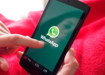 ¿Te borró el mensaje de WhatsApp? Una falla te permitiría recuperarlo