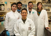 Héroes sin capa: científicos mexicanos eliminan Virus del Papiloma Humano