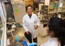Investigadores del IPN eliminan el VPH