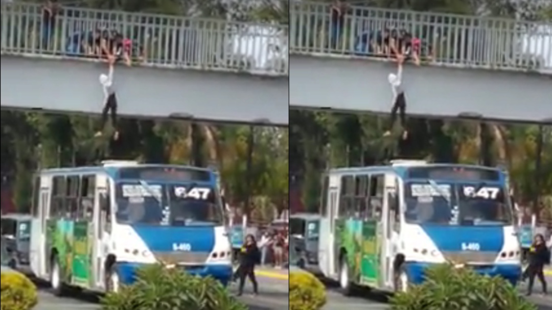 De película: microbusero salva a joven que estaba por quitarse la vida