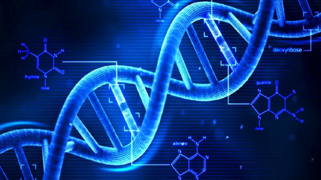 Un, dos, tres el ABC del DNA