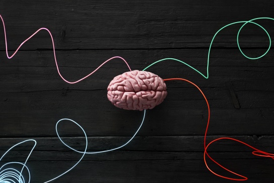 Cuidado tu cerebro envejece y pierde tamaño por culpa de estos hábitos Cuidado tu cerebro envejece y pierde tamaño por culpa de estos hábitos