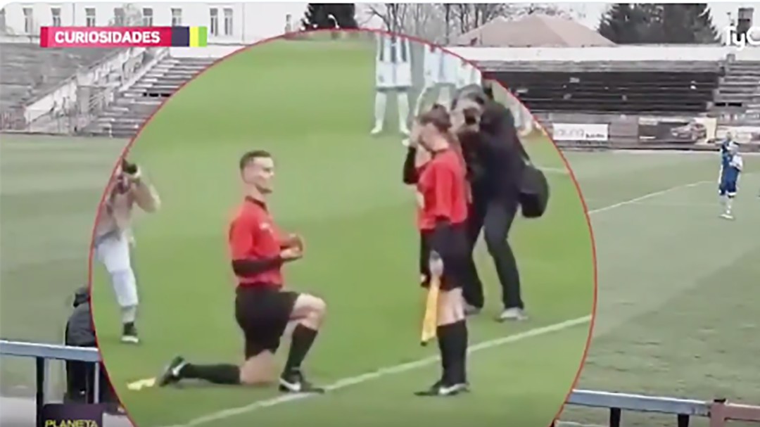 Árbitro pide matrimonio en pleno partido