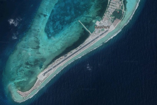 Tortuga salió del mar para desovar pero construyeron aeropuerto en la playa Tortuga salió del mar para desovar pero construyeron aeropuerto en la playa