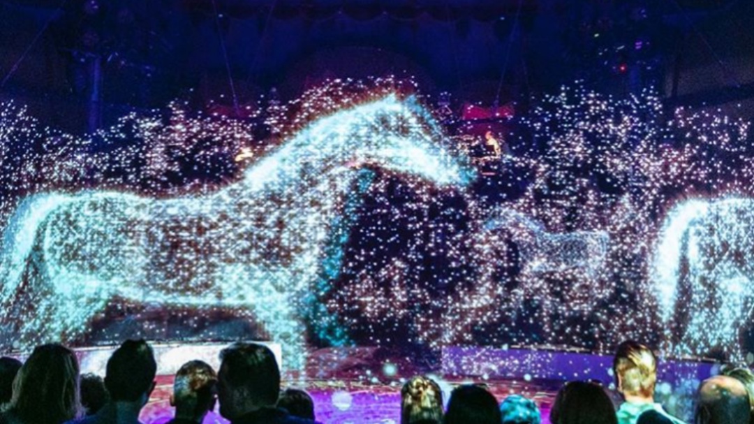 Circo con hologramas de animales en Alemania ¡Nueva Tendencia!