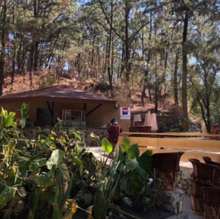 Cafetería en Colomos tiene 12 años con el permiso
